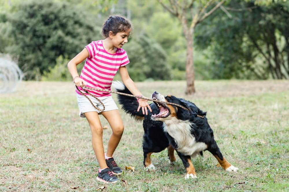 Image is of a young girl interacting with a large dog in a park setting, illustrating circumstances that can lead to dog bite injuries in children.
