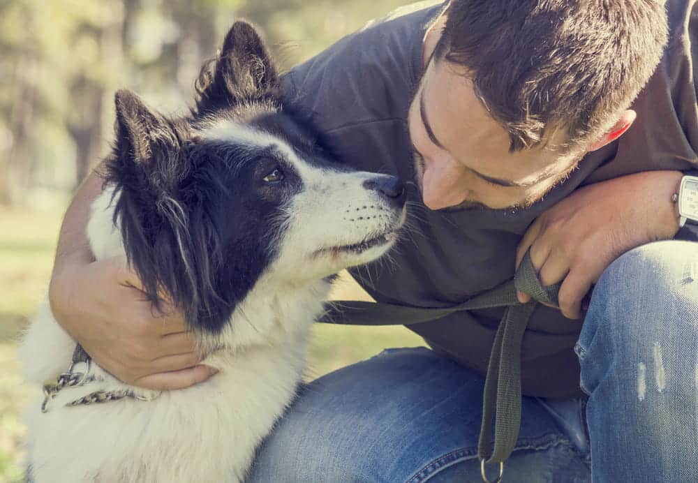 Image is of a man holding his black and white dog outdoors, concept of dog owner responsibility in a Tennessee dog bite claim.